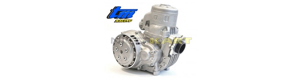 Motore completo TM KZ10B